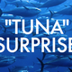 Illustration for article titled Most U.S. tuna isnt really tuna, and confusion can lead to oily anal leakage